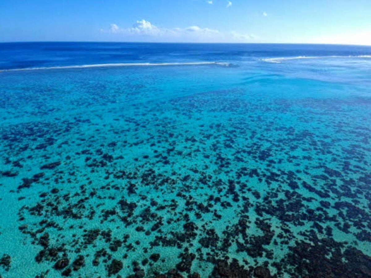 Moorea - Fare Taina Nui 哈皮蒂 外观 照片